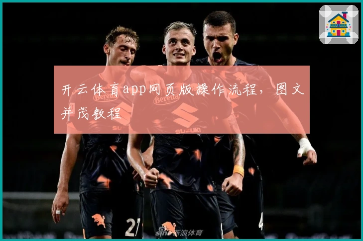 开云体育app网页版操作流程，图文并茂教程