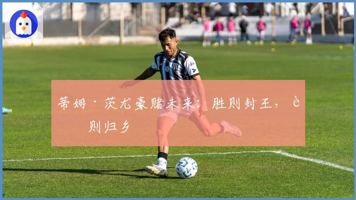 蒂姆·茨尤豪赌未来：胜则封王，败则归乡